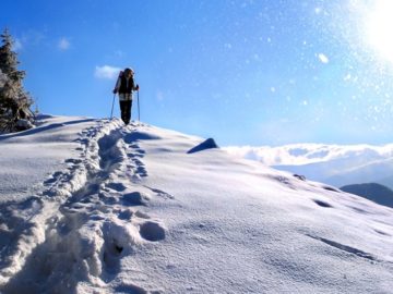 Kedarkantha Trek