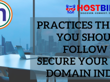.in Domain Registration India