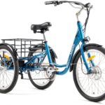 3 wheel electric bike