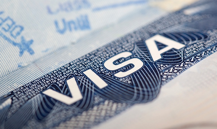 Nonimmigrant Employment Visa