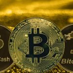 Bitcoin and Bitcoin Cash