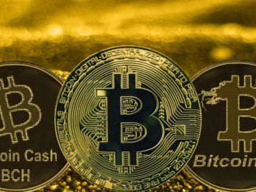 Bitcoin and Bitcoin Cash