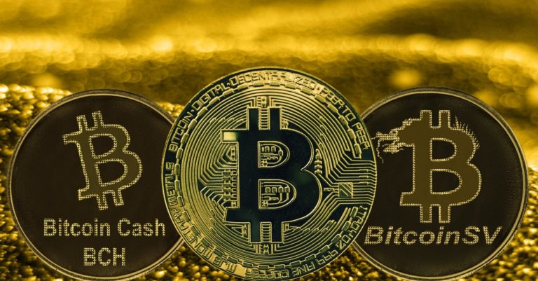 Bitcoin and Bitcoin Cash
