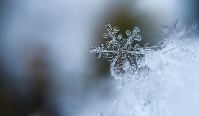 Snow Removal Near Me: How To Remove Snow From a Car