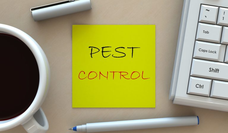 5 Residential Pest Control Errors and How to Avoid Them