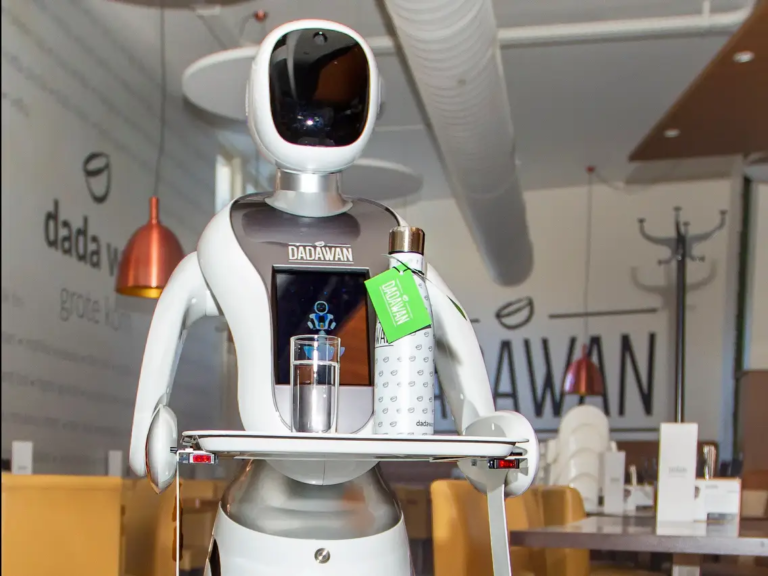 Food Serving Robots