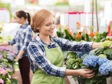 The Benefits of Plant Nurseries