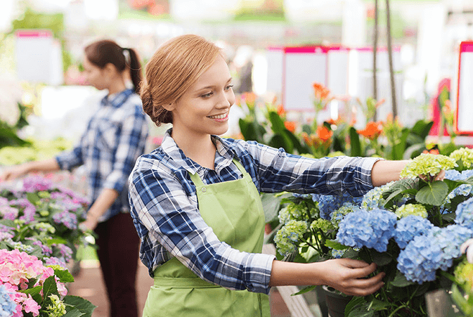 The Benefits of Plant Nurseries