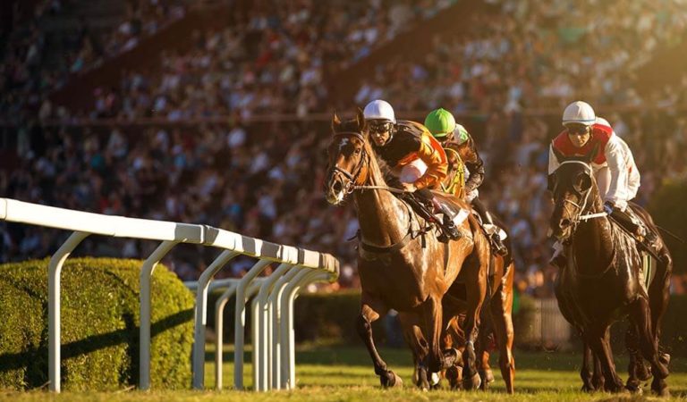 Mastering Horse Racing Odds: Expert Tips And Strategies For Australian Punters
