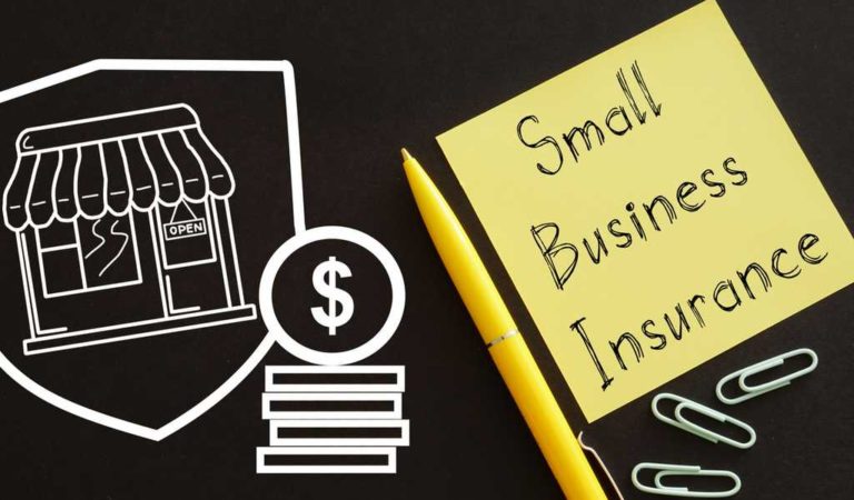 Crucial Reasons Why Small Businesses Need Insurance