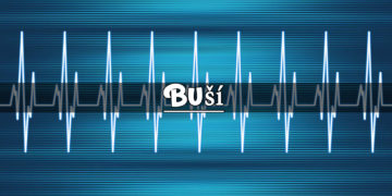 Buší