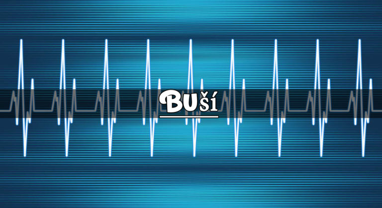 Buší