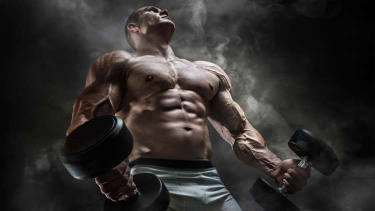 SARMs for Bodybuilding