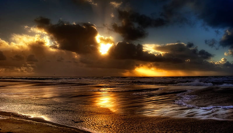 Sun-Kissed Beaches