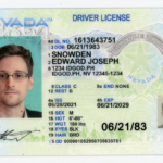 Fake ID Providers