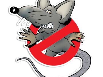 Getting Rid of Pests