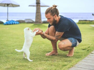 How to Train Your Canine