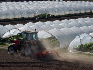Investing in Greenhouses