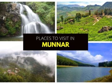 Places to Visit in Munnar