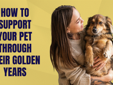 Support Your Pet