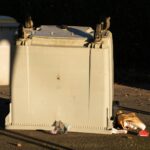 Renting Dumpsters