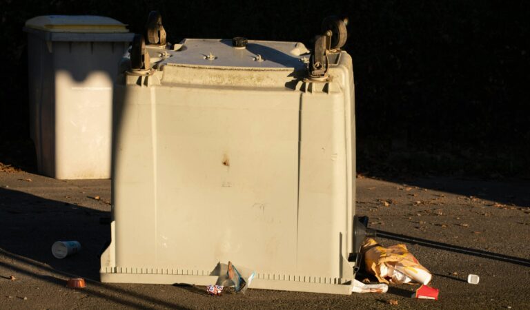 Looking for Dumpsters to Rent in Denver? Here’s What to Consider 