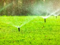 Sprinkler System Repair Service