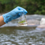 PFAS Lawsuits