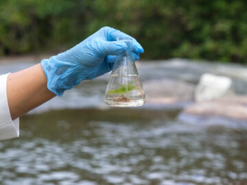 PFAS Lawsuits
