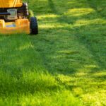 Lawn Healthy