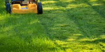 Lawn Healthy