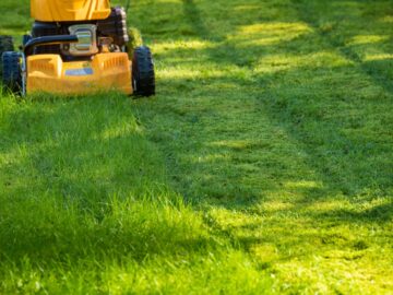 Lawn Healthy