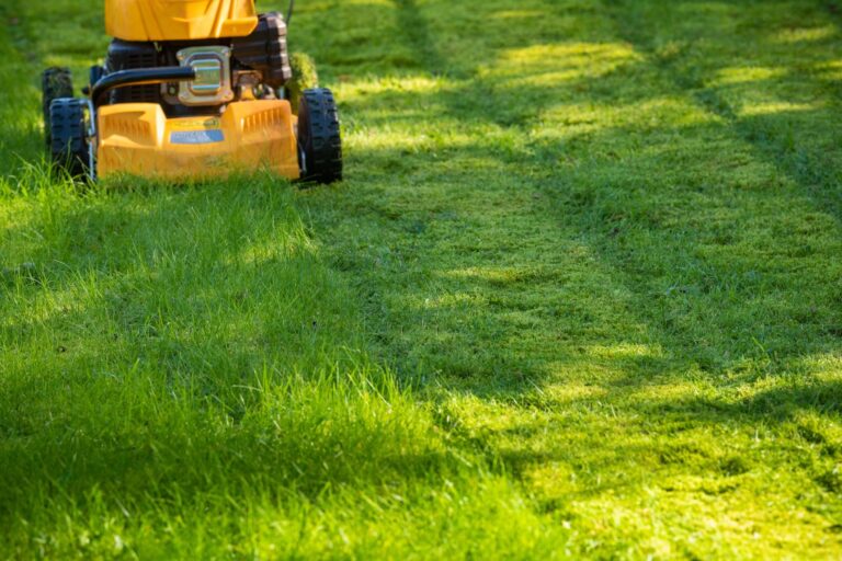 Lawn Healthy