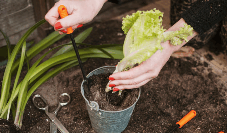 5 Mindful Gardening Habits That Ease Everyday Stress