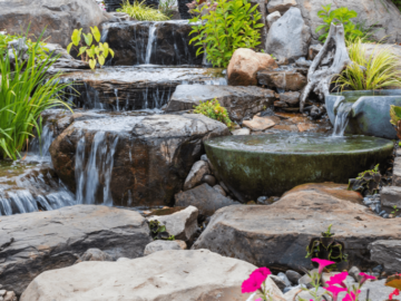 Water Feature for Your Florida Backyard