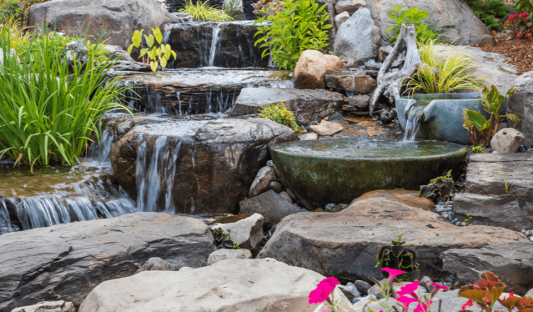 How to Choose the Right Water Feature for Your Florida Backyard